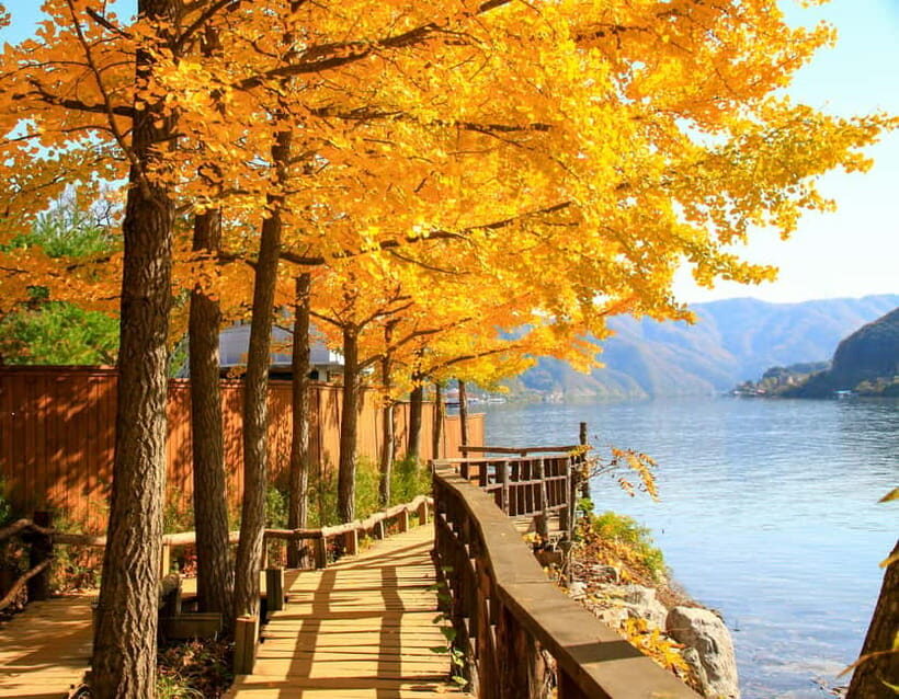Seoul: Alpaca World & Nami Island (opt. Gangchon Railbike) - Nami Island: Nature’s Canvas