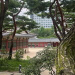 Seoul: Deoksugung Palace Heritage Walking Tour - What’s Included and What to Expect