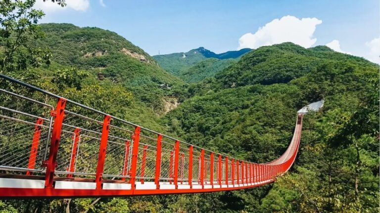 Seoul: DMZ, 3rd Tunnel and Optional Suspension Bridge Tour - How the Tour Balances Cost and Value