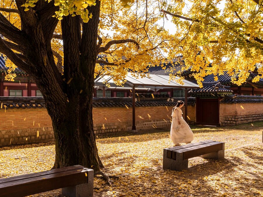Woman in autumn-toned hanbok sitting on a bench at Gyeongbokgung Palace