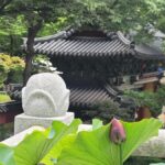 Seoul Hidden Gem Walk: Private, Local & Relaxed - Scenic Fortress Paths and Overlooks