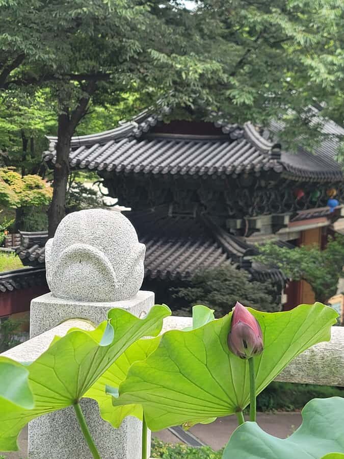 Seoul Hidden Gem Walk: Private, Local & Relaxed - Scenic Fortress Paths and Overlooks
