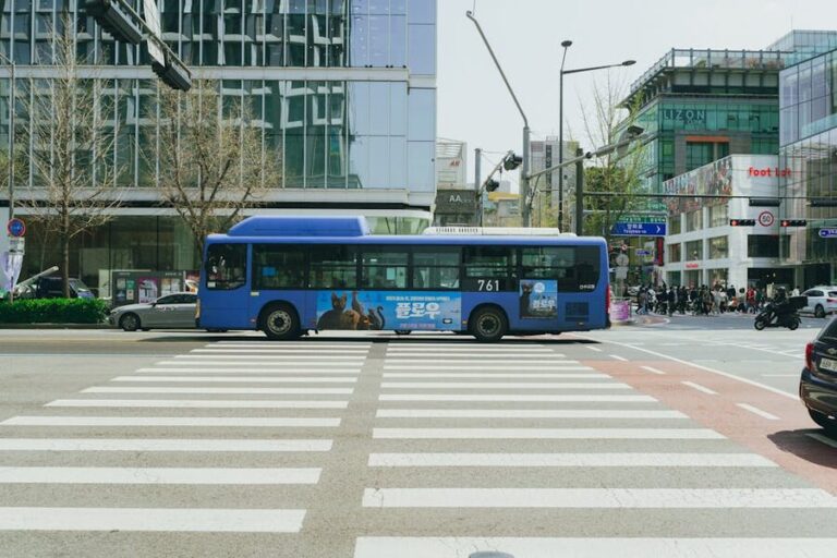 How to Book a Seoul Hop-On Hop-Off Bus