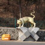 Seoul: Inwangsan Mountain and City Fortress Wall Hiking Tour - Practical Details & What to Expect