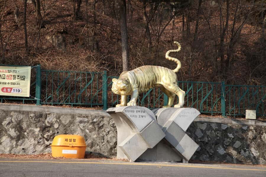 Seoul: Inwangsan Mountain and City Fortress Wall Hiking Tour - Practical Details & What to Expect