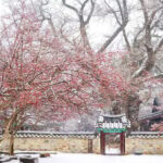 Seoul: Jeonju Hanok Village & Daedunsan Snowy Nature Tour - How Does the Price Reflect the Experience?