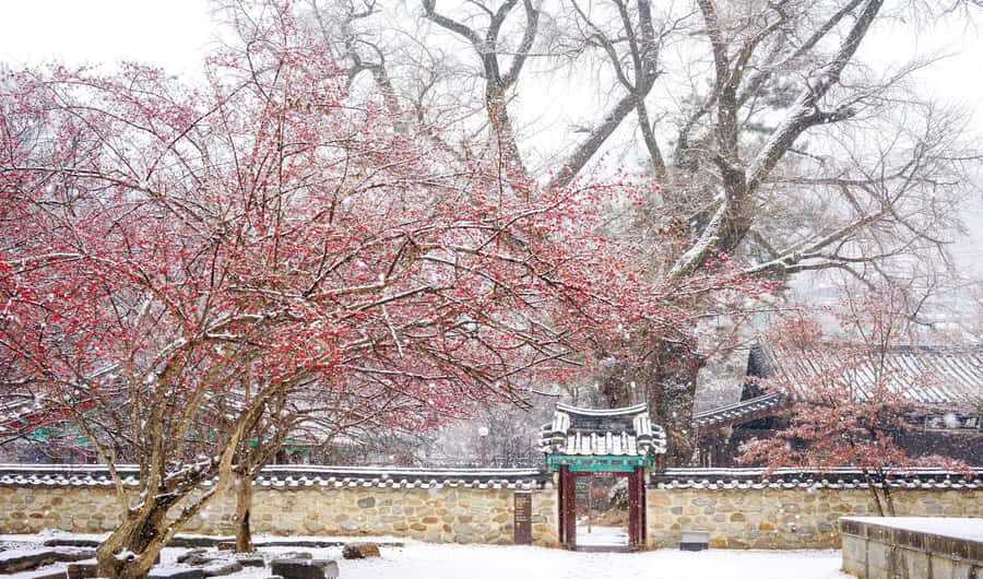 Seoul: Jeonju Hanok Village & Daedunsan Snowy Nature Tour - How Does the Price Reflect the Experience?