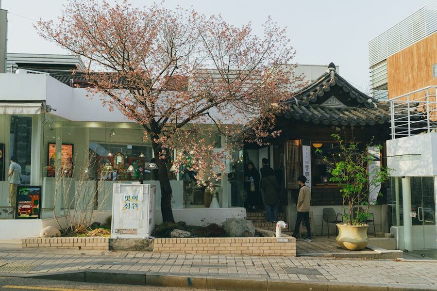 Seoul traditional street with spring cherry blossoms