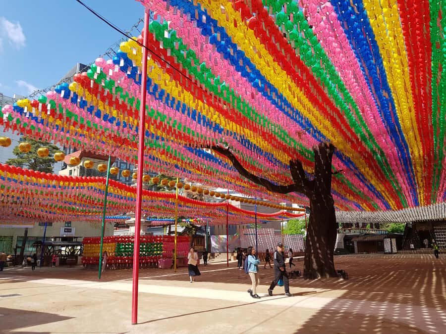 Seoul: Morning Gyeongbok Palace, Folk Museum, Temple Tour - Why This Tour Offers Value