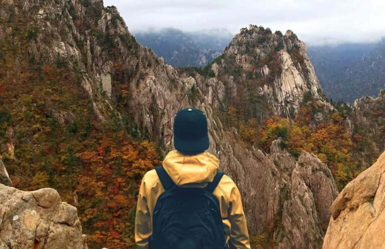 Seoul: Mt. Seorak & Nami Island & Eobi Ice Valley Day Tour - What’s Included and What’s Not