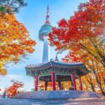 Seoul: N Seoul Tower Observatory & Cable Car Combo Ticket - The Practicalities: Tickets, Timing, and Costs