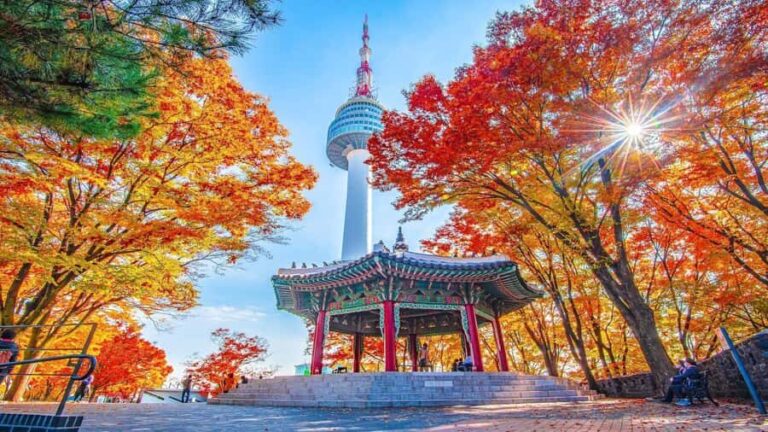 Seoul: N Seoul Tower Observatory & Cable Car Combo Ticket - The Practicalities: Tickets, Timing, and Costs
