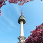 Seoul: N Tower Observatory Ticket - Good To Know