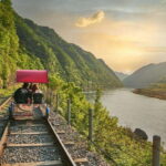 Seoul: Nami Island & Railbike & Begonia Bird Park Day Tour - The Value of This Tour