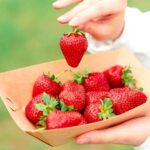 Seoul: Nonsan Strawberry & Cherry Blossom Season Experience - Exploring Nonsan: A City of Contrasts