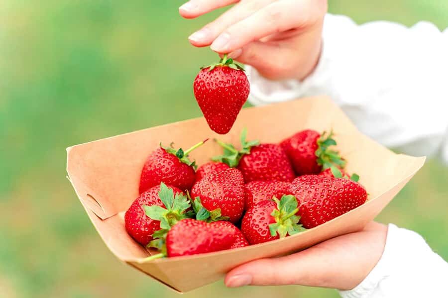 Seoul: Nonsan Strawberry & Cherry Blossom Season Experience - Exploring Nonsan: A City of Contrasts