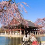 Seoul: Private City Tour with Guide and Photos - Deep Dive into the Key Locations