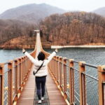 Seoul: Private Taxi Tour Car Charter - Nami Alpaca Seorak - What to Expect from the Seoul Private Taxi Experience