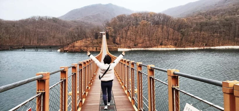 Seoul: Private Taxi Tour Car Charter - Nami Alpaca Seorak - What to Expect from the Seoul Private Taxi Experience