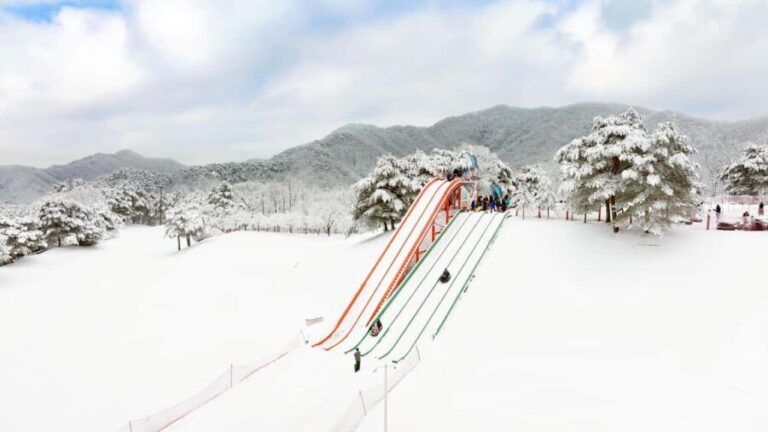 Seoul: Strawberry Picking, Winter Sled with Eobi Ice Valley - Why This Tour Offers Great Value
