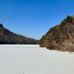 Seoul: Winter Day Tour in Pocheon with Strawberry Picking - Practical Details and Value