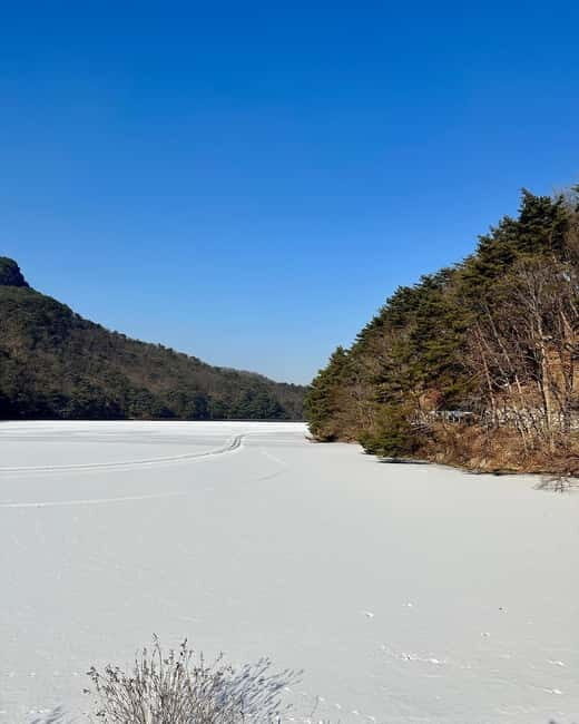 Seoul: Winter Day Tour in Pocheon with Strawberry Picking - Practical Details and Value
