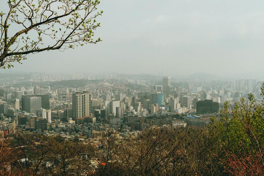 Seoul cityscape with mountains and spring foliage