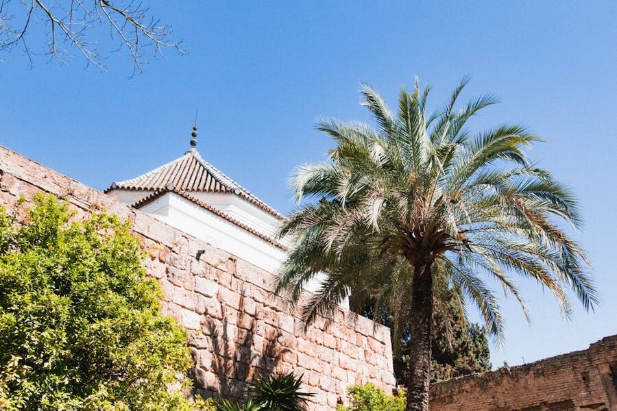 Palm tree next to historic Alcazar of Seville architecture