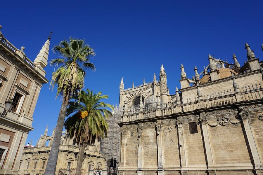 Seville Cathedral with palm tree against blue sky