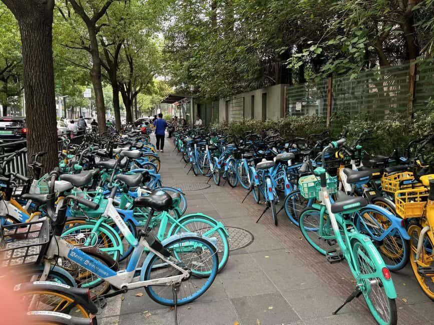 Shanghai: A Day of Immersive Suburban Life - Analyzing the Value and Practical Details