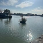 Shanghai: Cultural Day Trip to Songjiang with Coffee & Snack - Why This Tour Offers Great Value