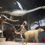 Shanghai: Yu Garden, City God Temple & River Cruise Tour - Final Thoughts: Who Is This Tour Best For?