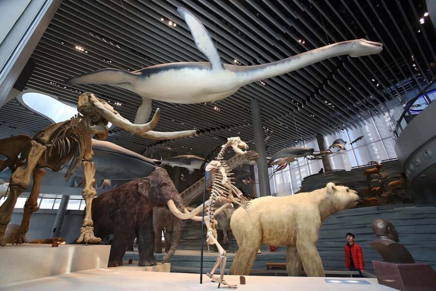 Shanghai: Yu Garden, City God Temple & River Cruise Tour - Final Thoughts: Who Is This Tour Best For?