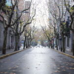 Shanghai: Zhujiajiao Water Town and City Private Day Tour - How Do the Reviews Reflect the Experience?