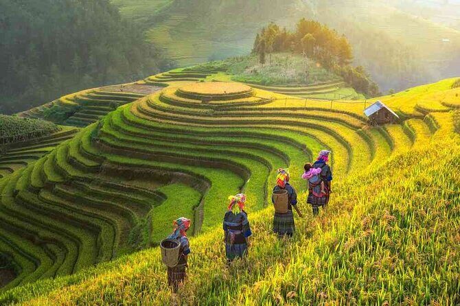 Shared 2 days and 1 night Sapa Trekking Adventure - FAQ: Practical Questions About the Sapa Trekking Tour