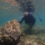 Shared Scuba Diving Trip in Kushimoto - What the Reviews Tell Us