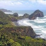 Sheep World and West Auckland Discovery Small Group Day Tour - Authentic Traveler Insights