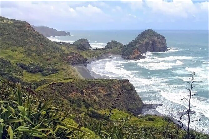 Sheep World and West Auckland Discovery Small Group Day Tour - Authentic Traveler Insights