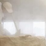 Shiga: Kitajima Sake Brewery Tour with Tasting - Who Will Love This Tour?