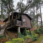 Shillong Green Trails: Guided Trekking Experience with local - Practical Details & Why They Matter