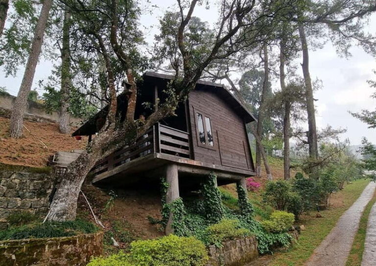 Shillong Green Trails: Guided Trekking Experience with local - Practical Details & Why They Matter