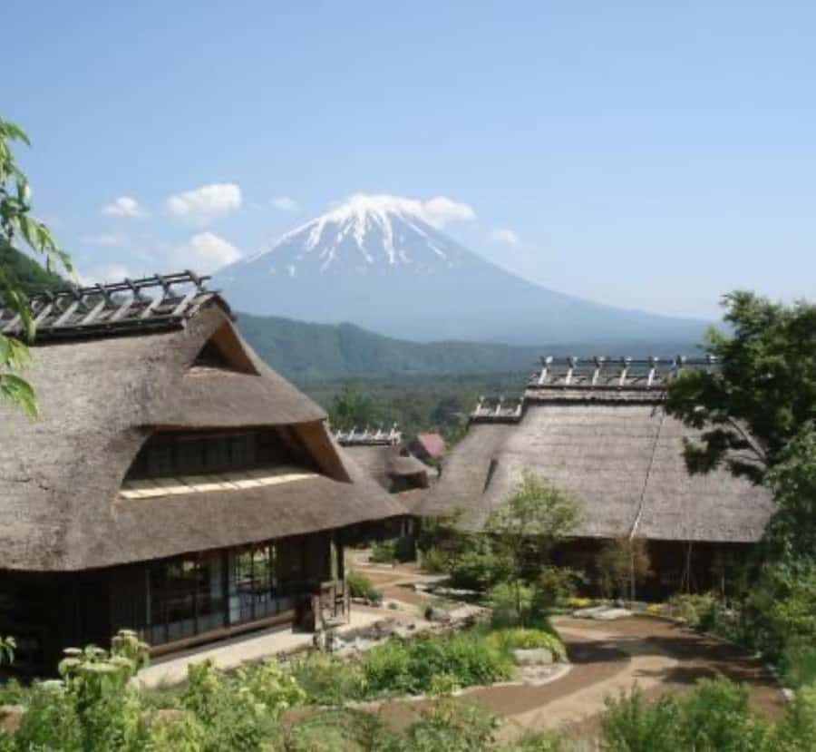Shimizu: Mount Fuji Private Tour with Custom Itinerary - Practical Details and Value