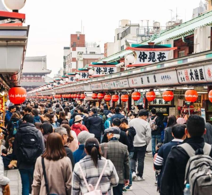 Shimizu: Tokyo Private Day Trip with Guide - Transport, Timing, and Value