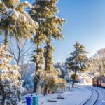 Shimla: Guided City Day Tour with Kufri Hill Station Visit - Why This Tour Works