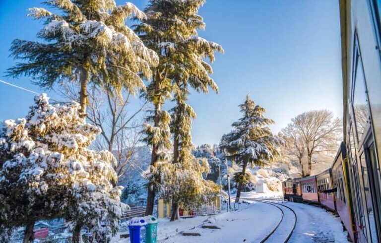 Shimla: Guided City Day Tour with Kufri Hill Station Visit - Why This Tour Works