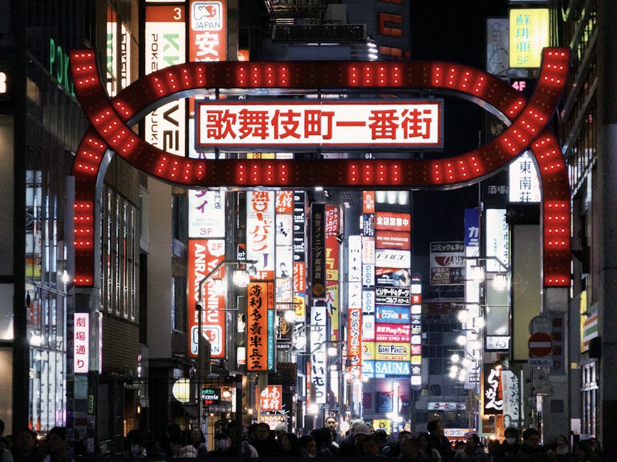 Kabukicho Tokyo neon district at night