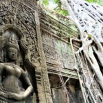Siem Reap: Angkor Wat with German or English Guided Tour - Who Will Love This Tour?