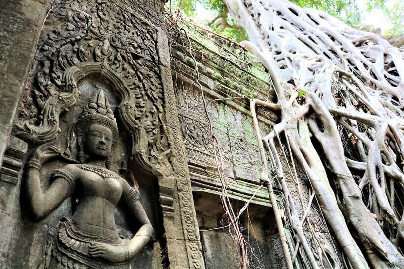 Siem Reap: Angkor Wat with German or English Guided Tour - Who Will Love This Tour?