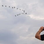 Siem Reap: Battambang Day Trip with French Tour Guide - Practical Tips for Travelers