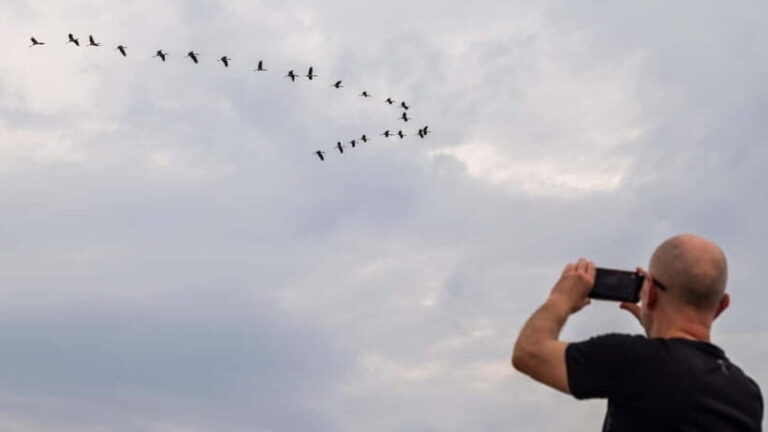 Siem Reap: Battambang Day Trip with French Tour Guide - Practical Tips for Travelers